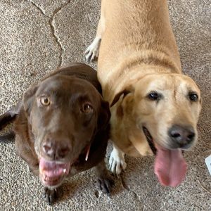 Meet your Posher, Luis